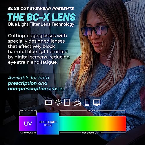 The BC-X Lens